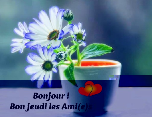 jeudi_069.jpg