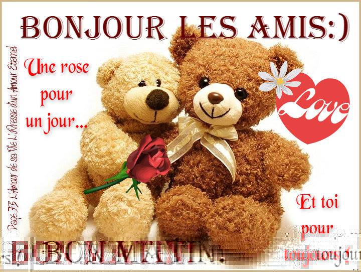 bonjour_061.jpg