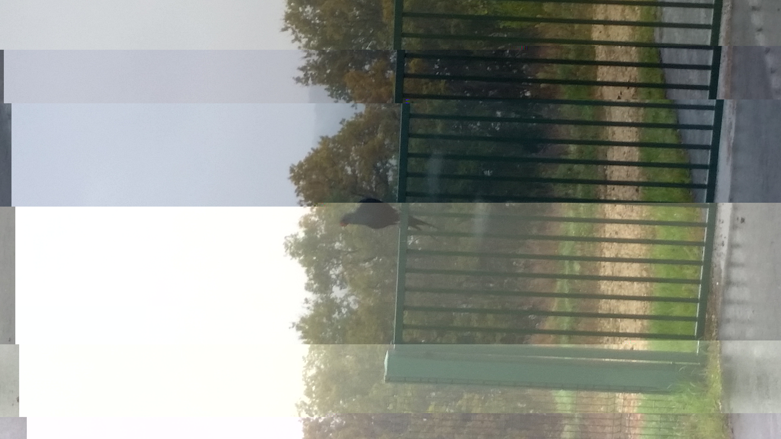 20161116_100143.jpg