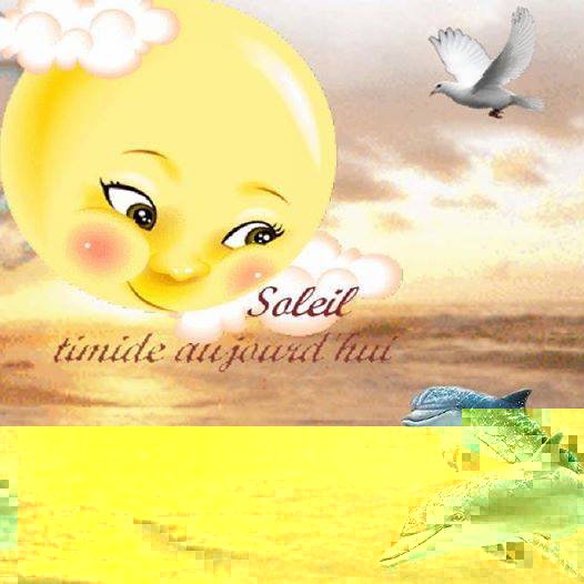 timide soleil.jpg