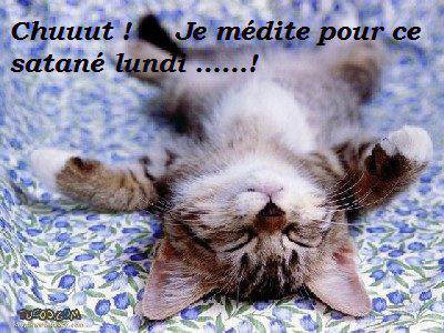 lundi (2).jpg