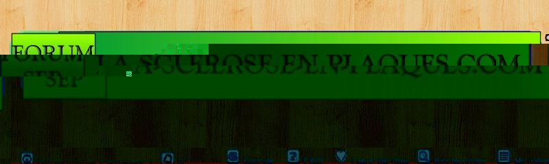 bande sep.JPG