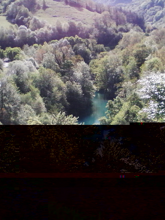 vue d'en haut.jpg