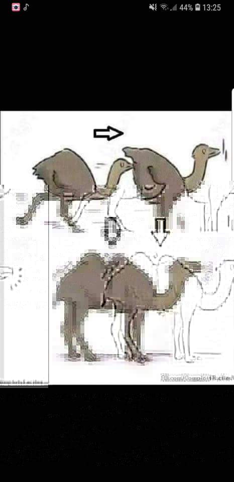 FB_IMG_1538085592552.jpg