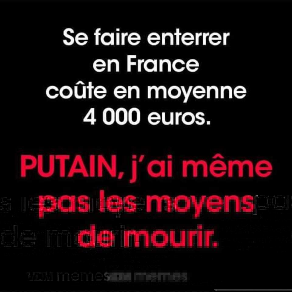 FB_IMG_1540529362919.jpg