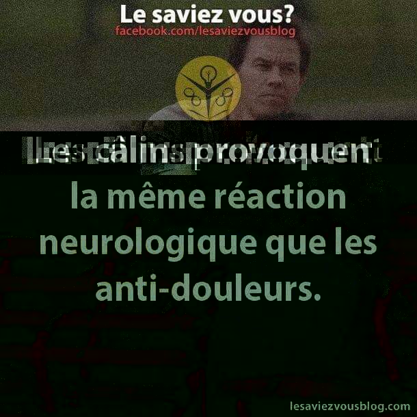 FB_IMG_1541709441353.jpg