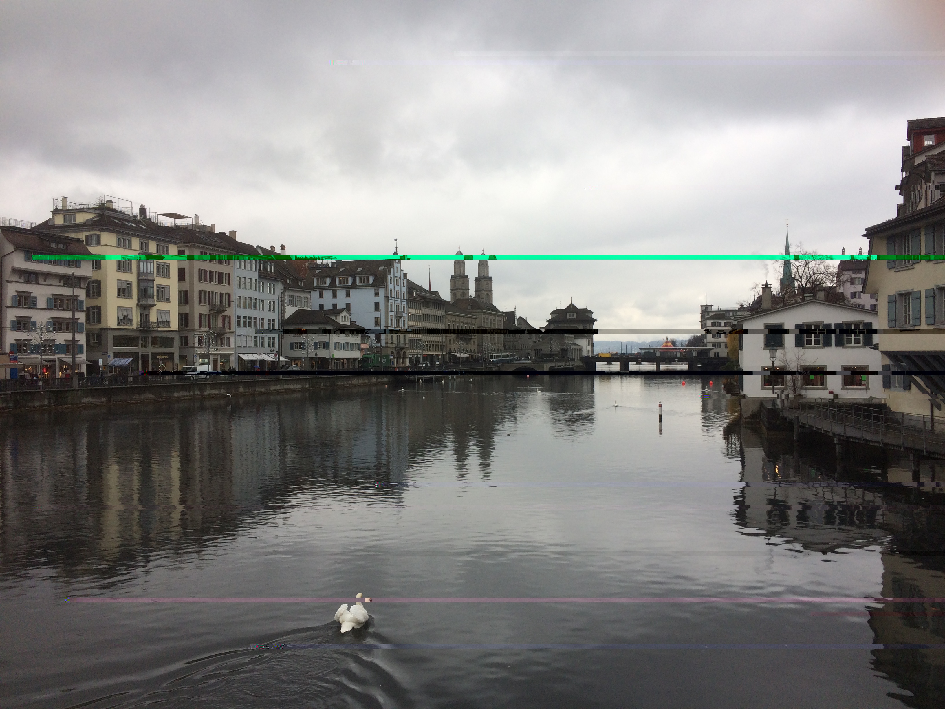 un signe, un cygne.JPG