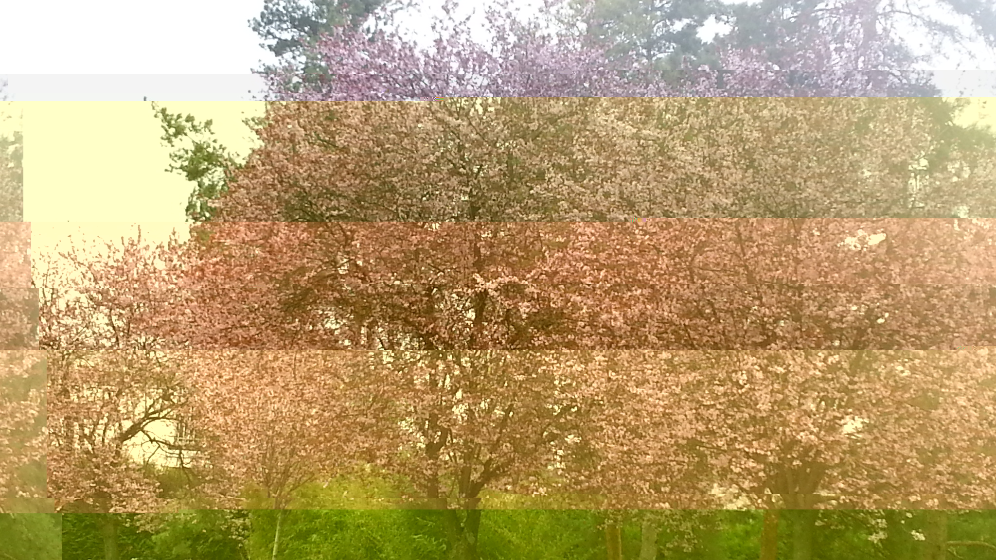 20190324_110033.jpg