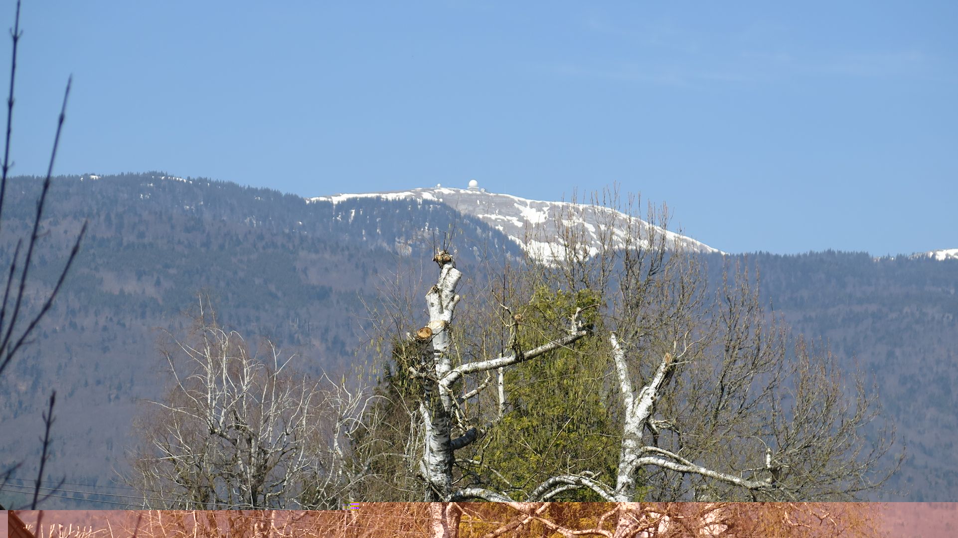 20190331.jpg
