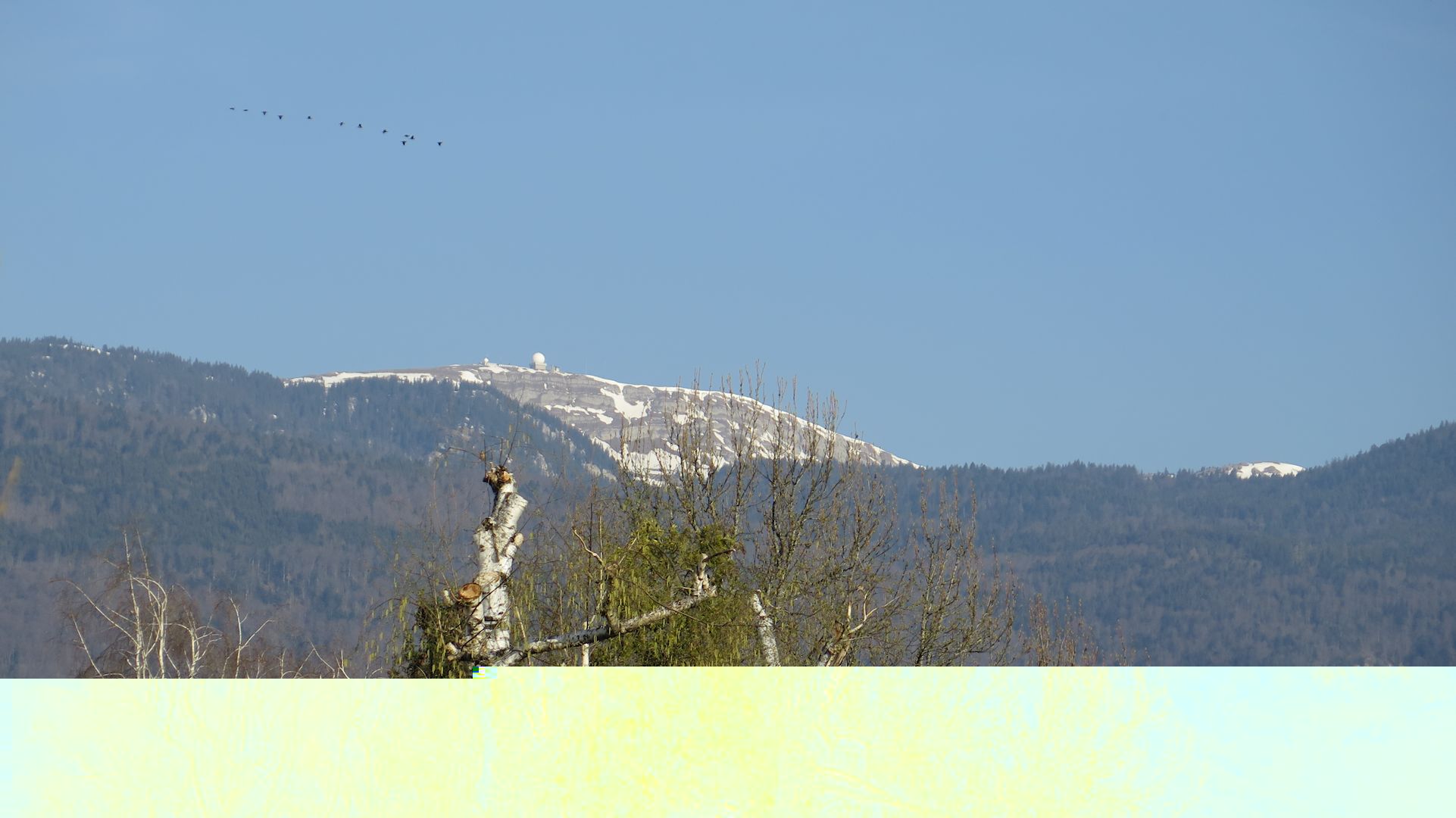 20190401.jpg