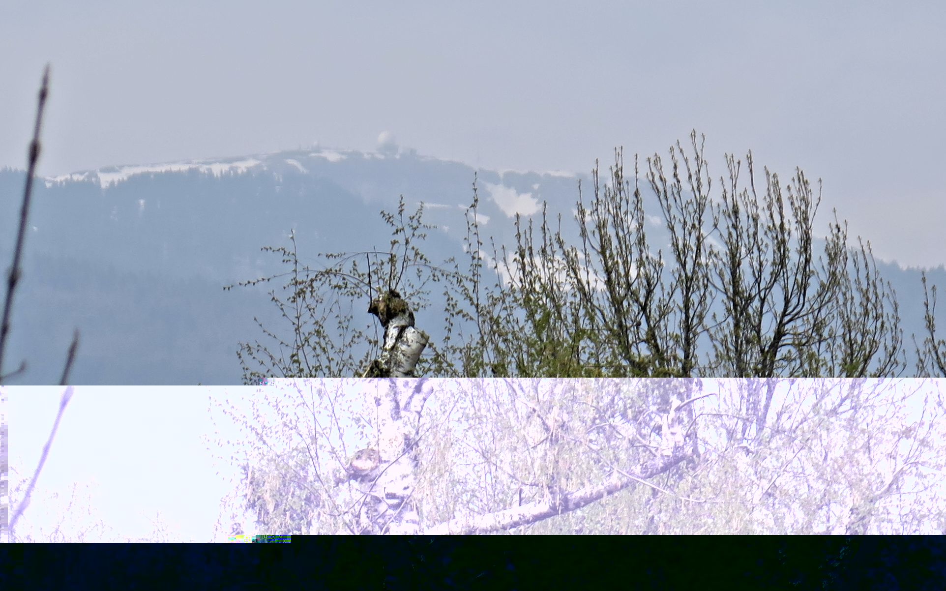 20190411.jpg