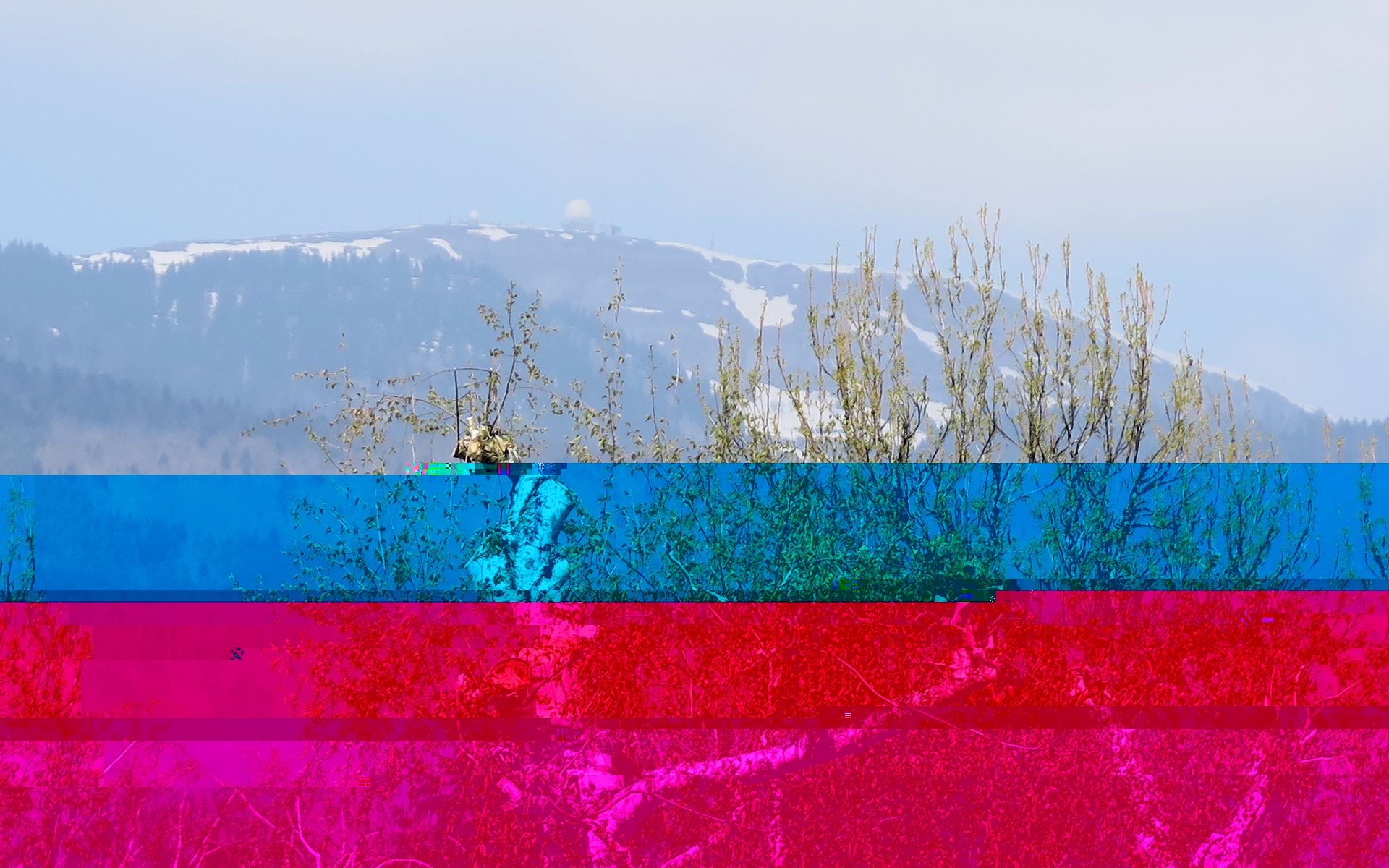 20190414.jpg