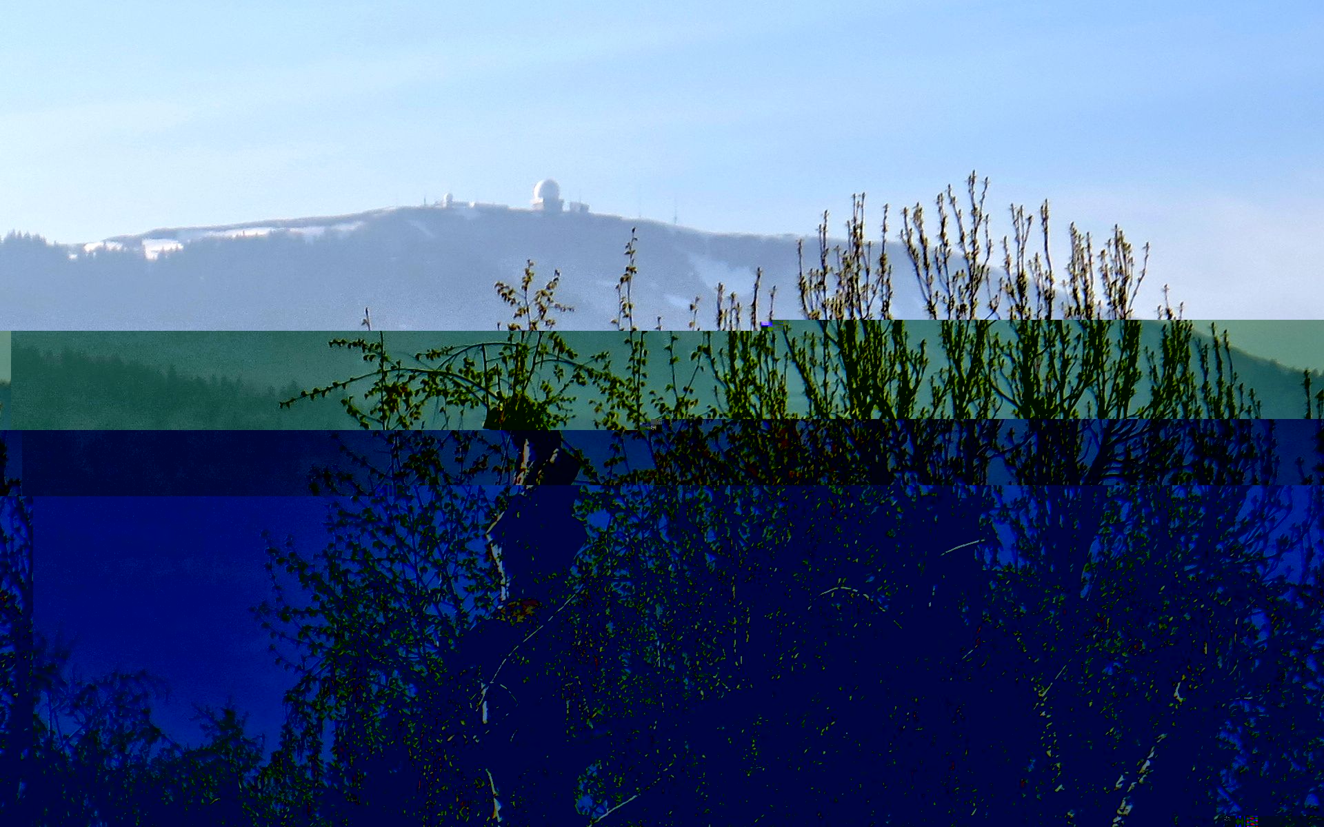20190415.jpg