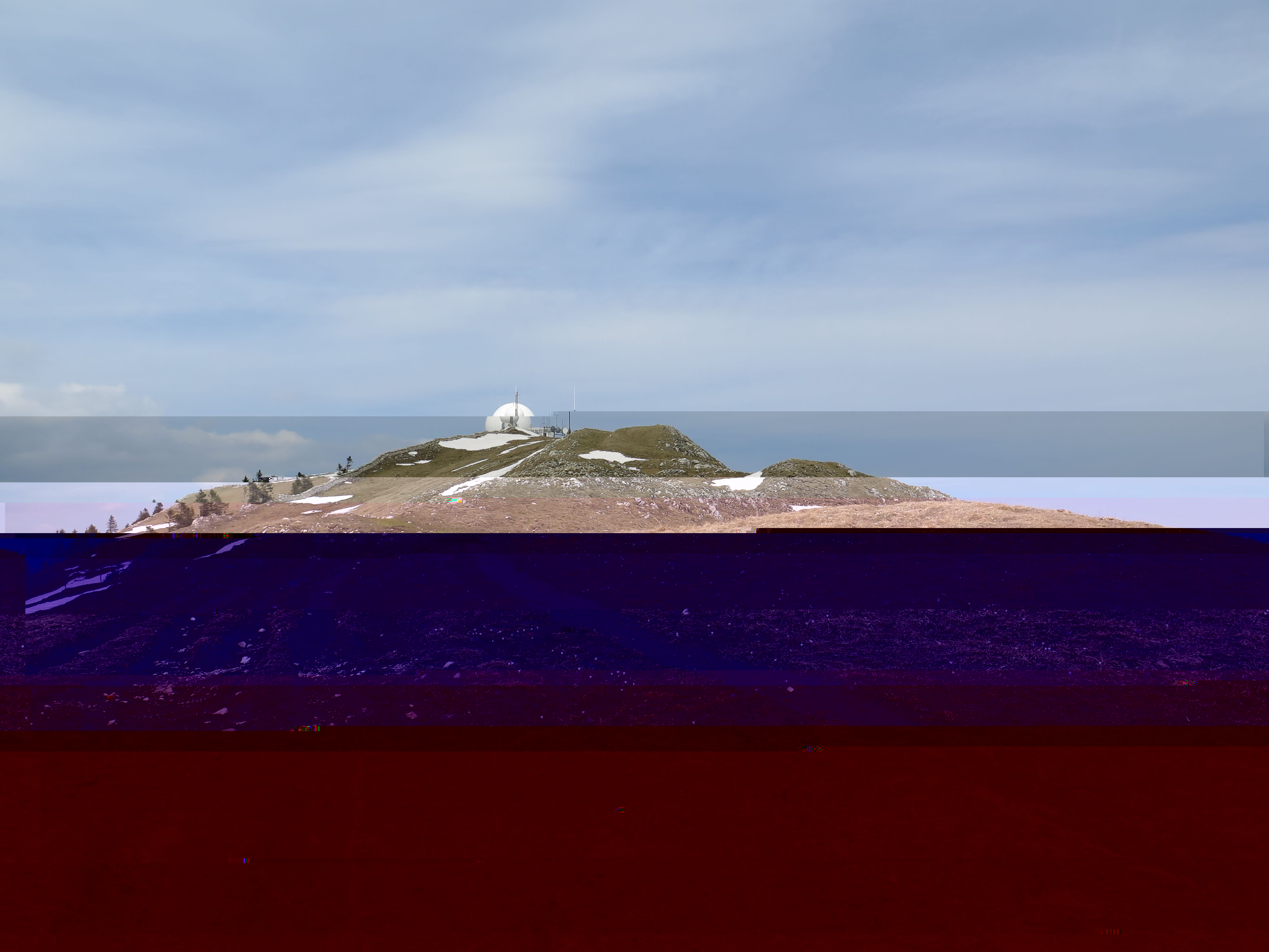 Zou 04.jpg