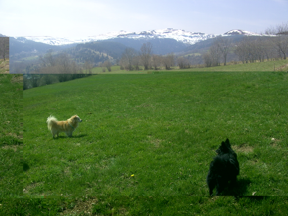 S3.JPG