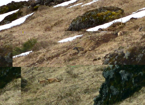 DSC_0022.jpg
