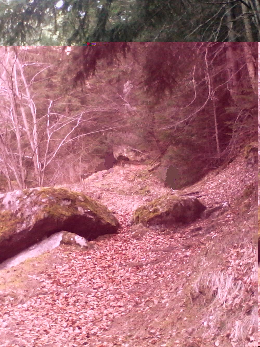 montée Chambeuil.jpg