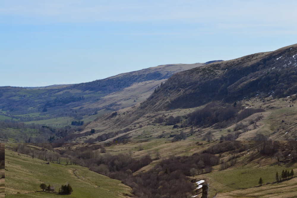 DSC_0011.jpg
