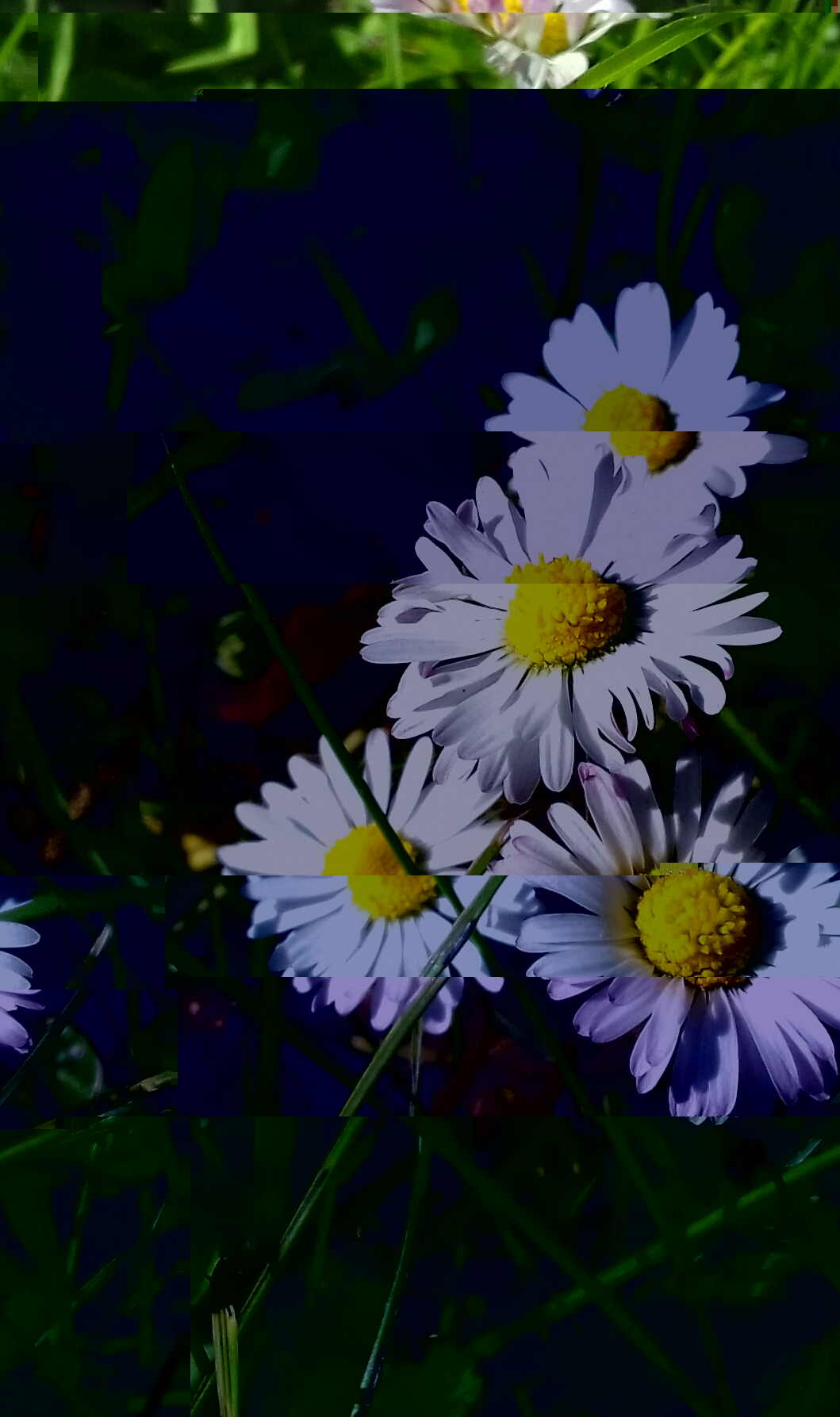 20190514_172424-1.jpg