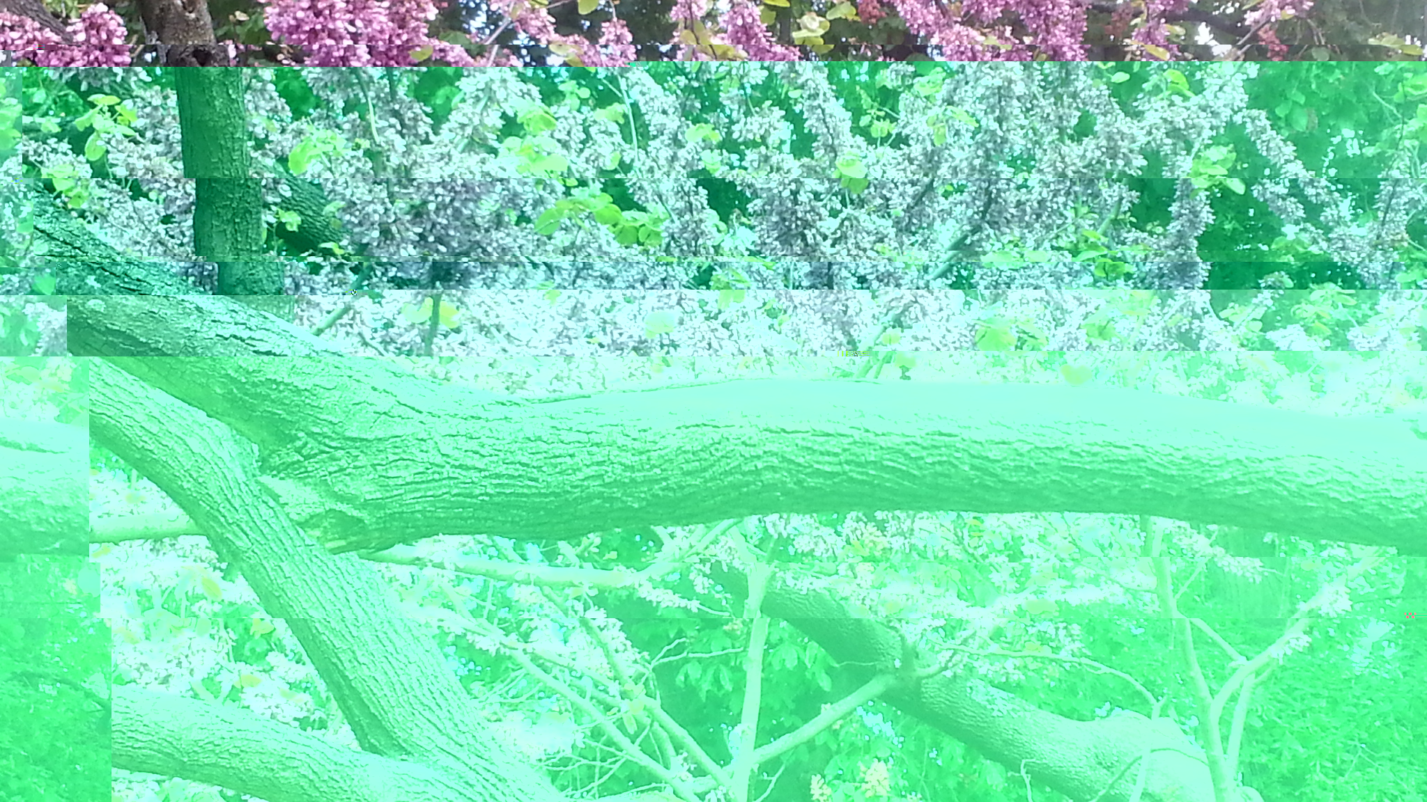 20190516_170821.jpg