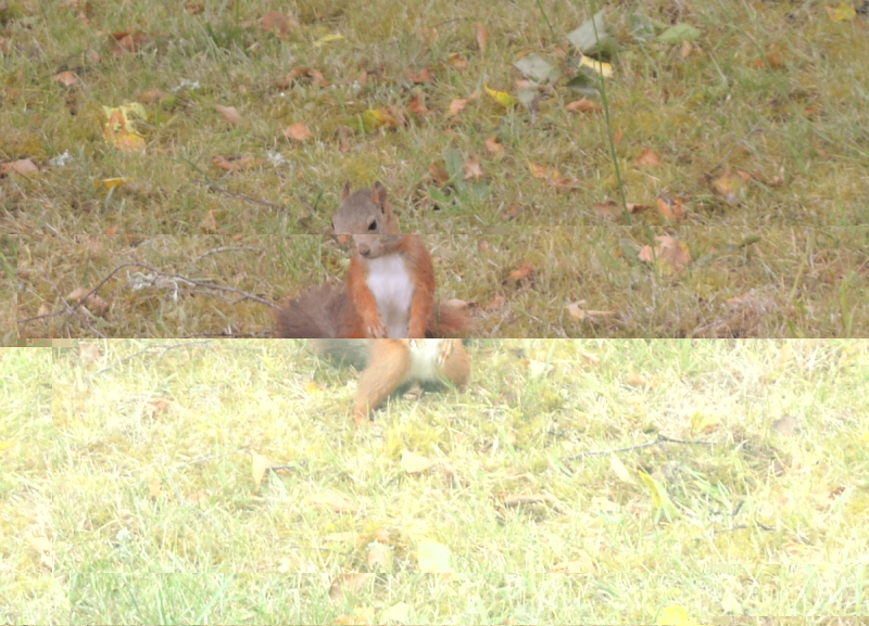 Copie de DSC_0015.jpg