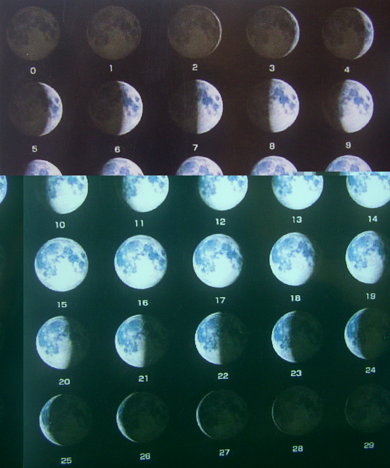 phase lunaire.JPG