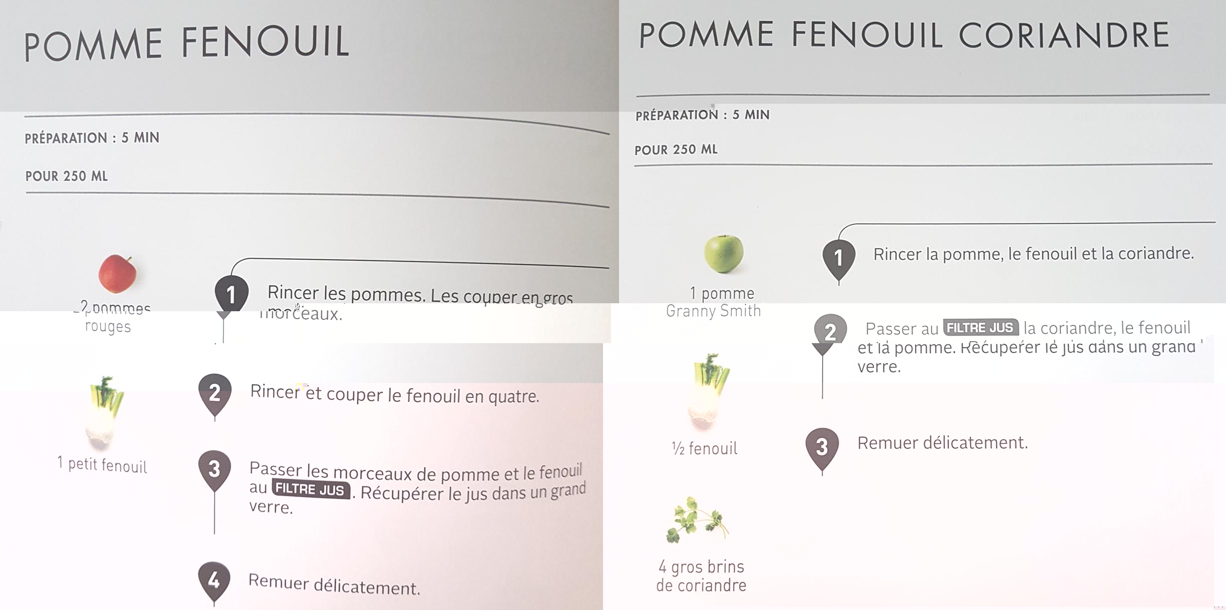 Recettes fenouilles.jpg