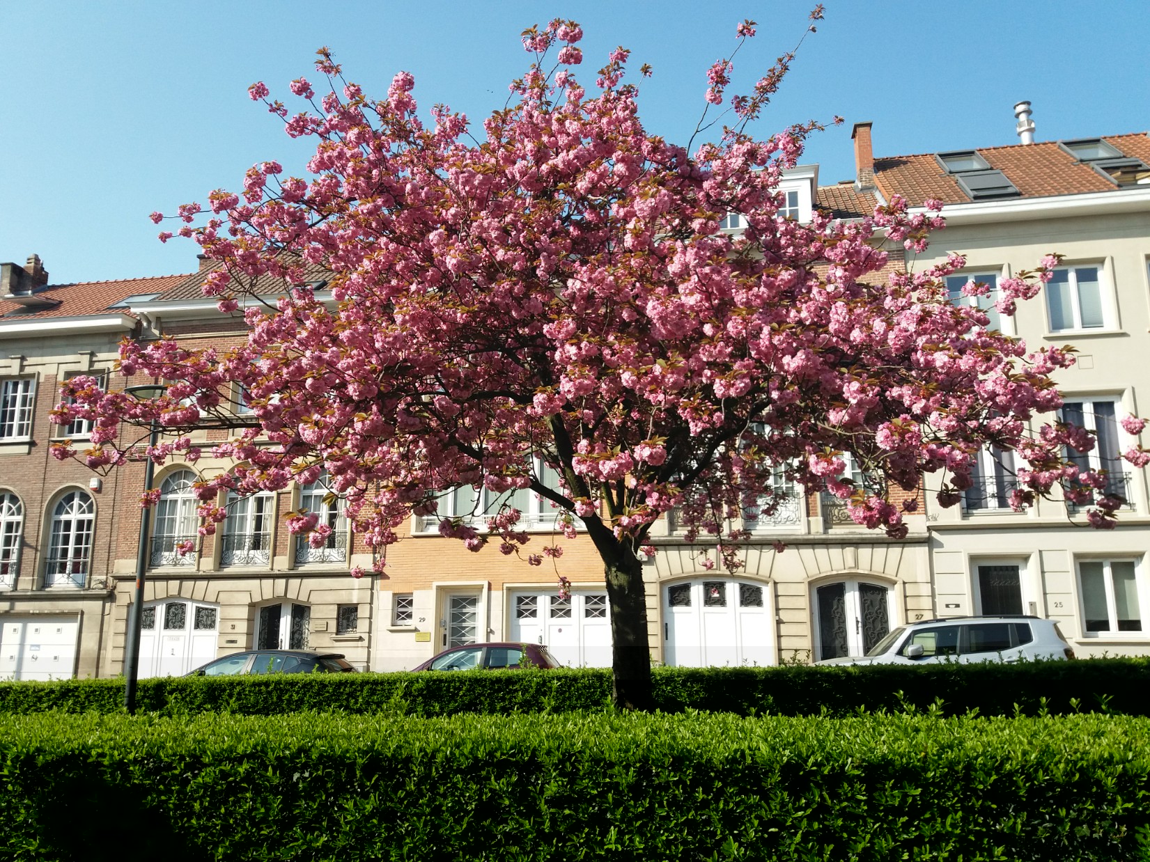 Printemps 2020