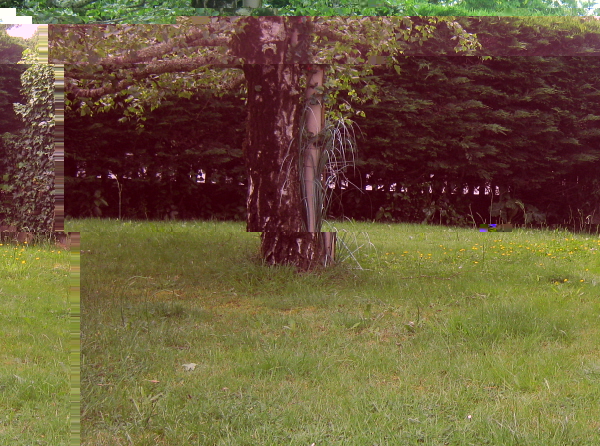 où.JPG