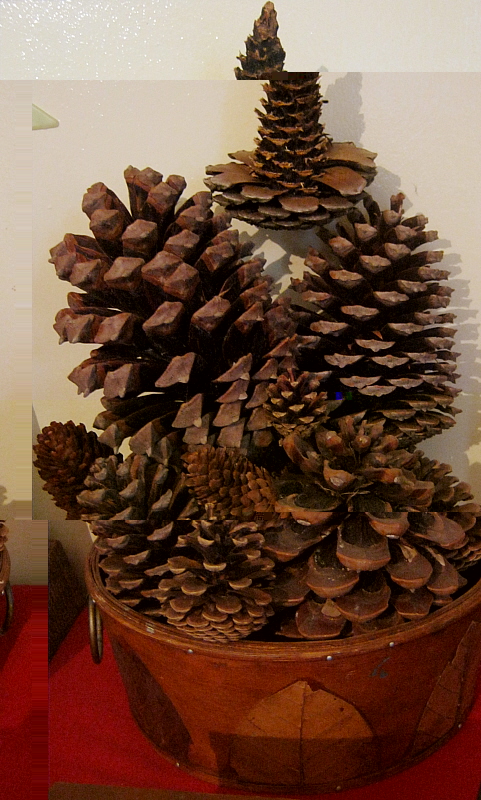 collection.JPG