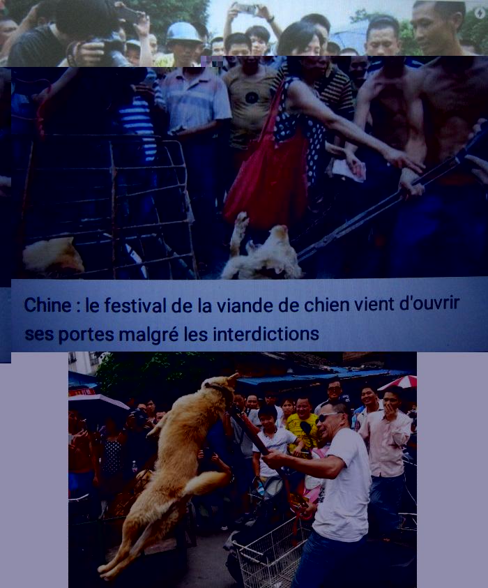 honte.JPG