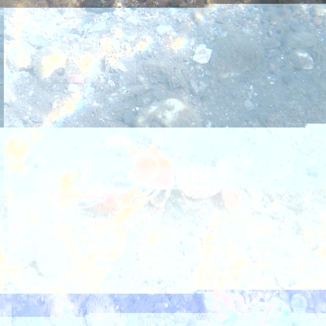 20200704_223407.jpg