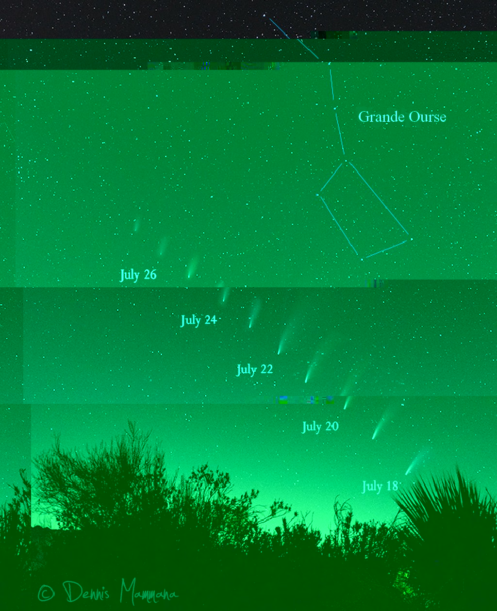 neowise.jpg