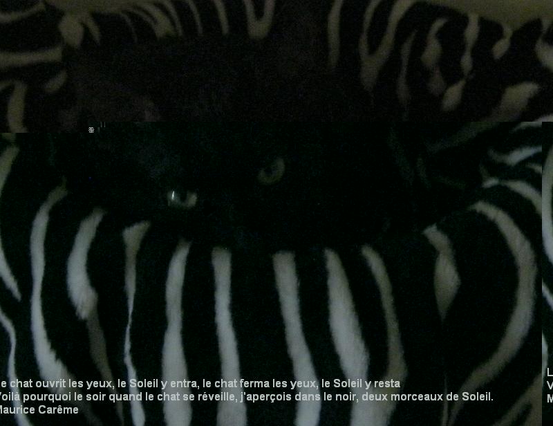 E.T.JPG