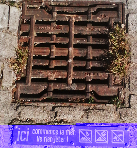 IMG2345A.jpg