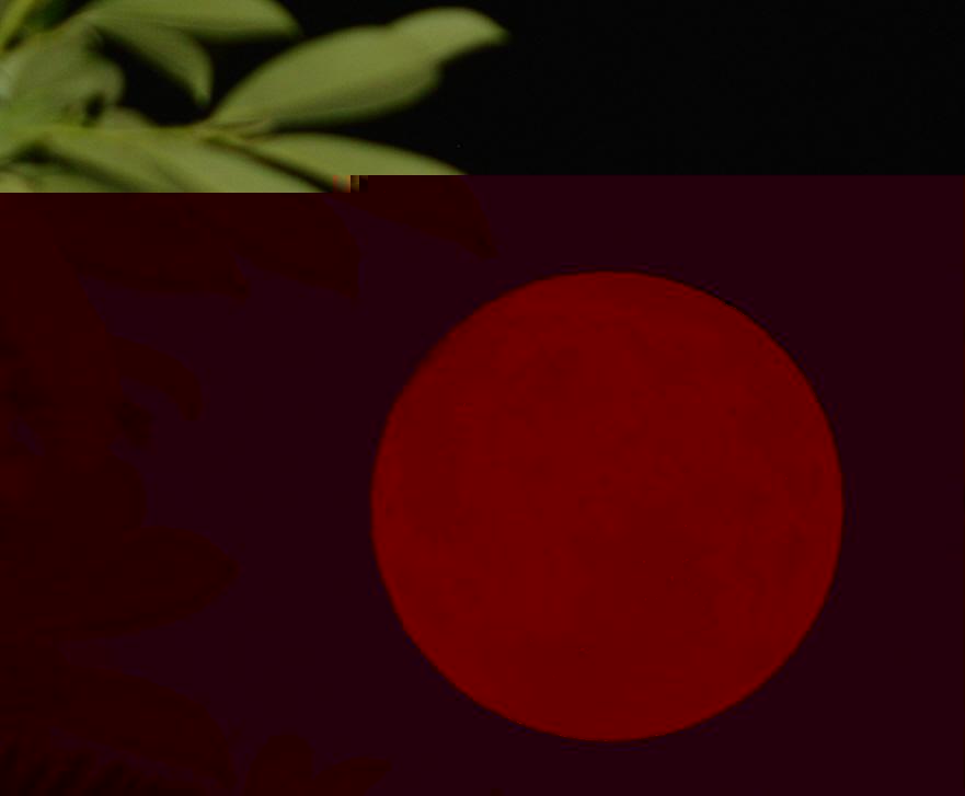 pleine lune.jpg