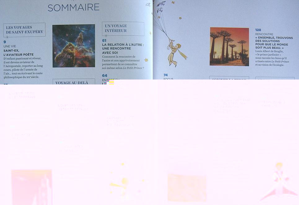 Petit Prince.JPG