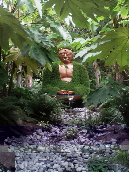 zen.jpg