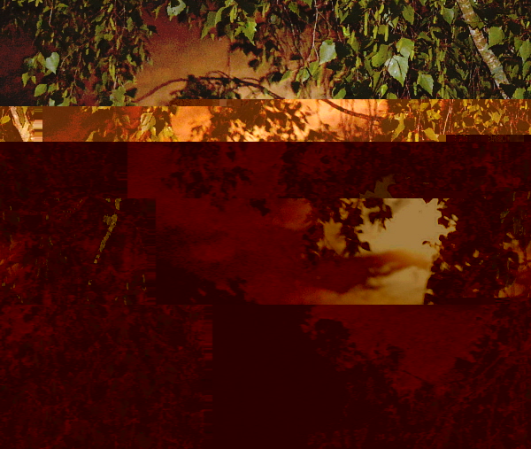 flashlune.jpg