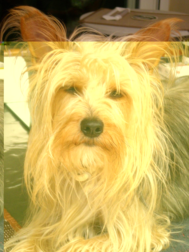 DSCN2387.JPGkali.jpg