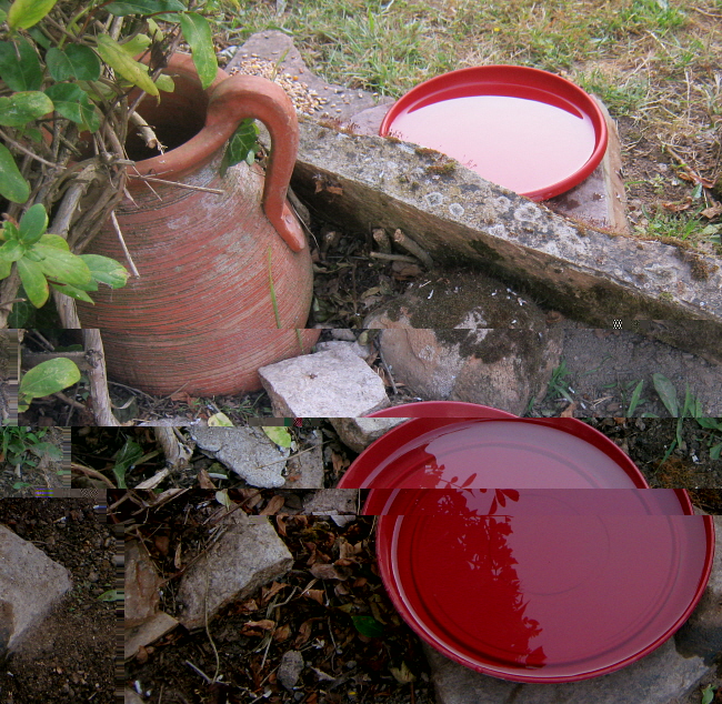 l'eau.JPG