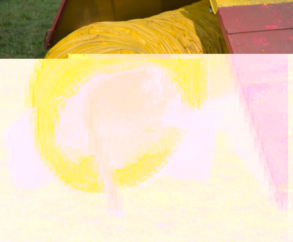 3662_236195169854444_230325258_n.jpg