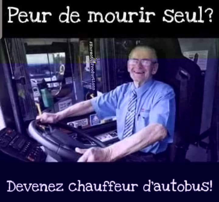 Bus.jpg