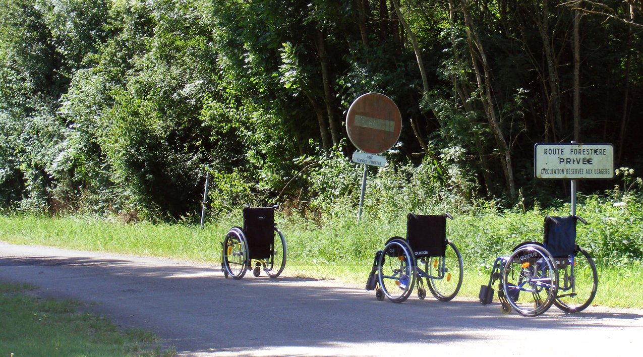 p4 MONOTONE PROMENADE.jpg