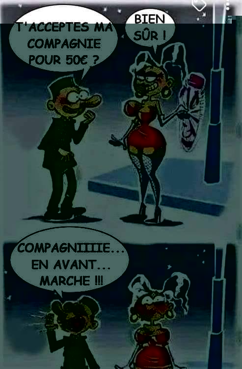 Dame de compagnie.jpg