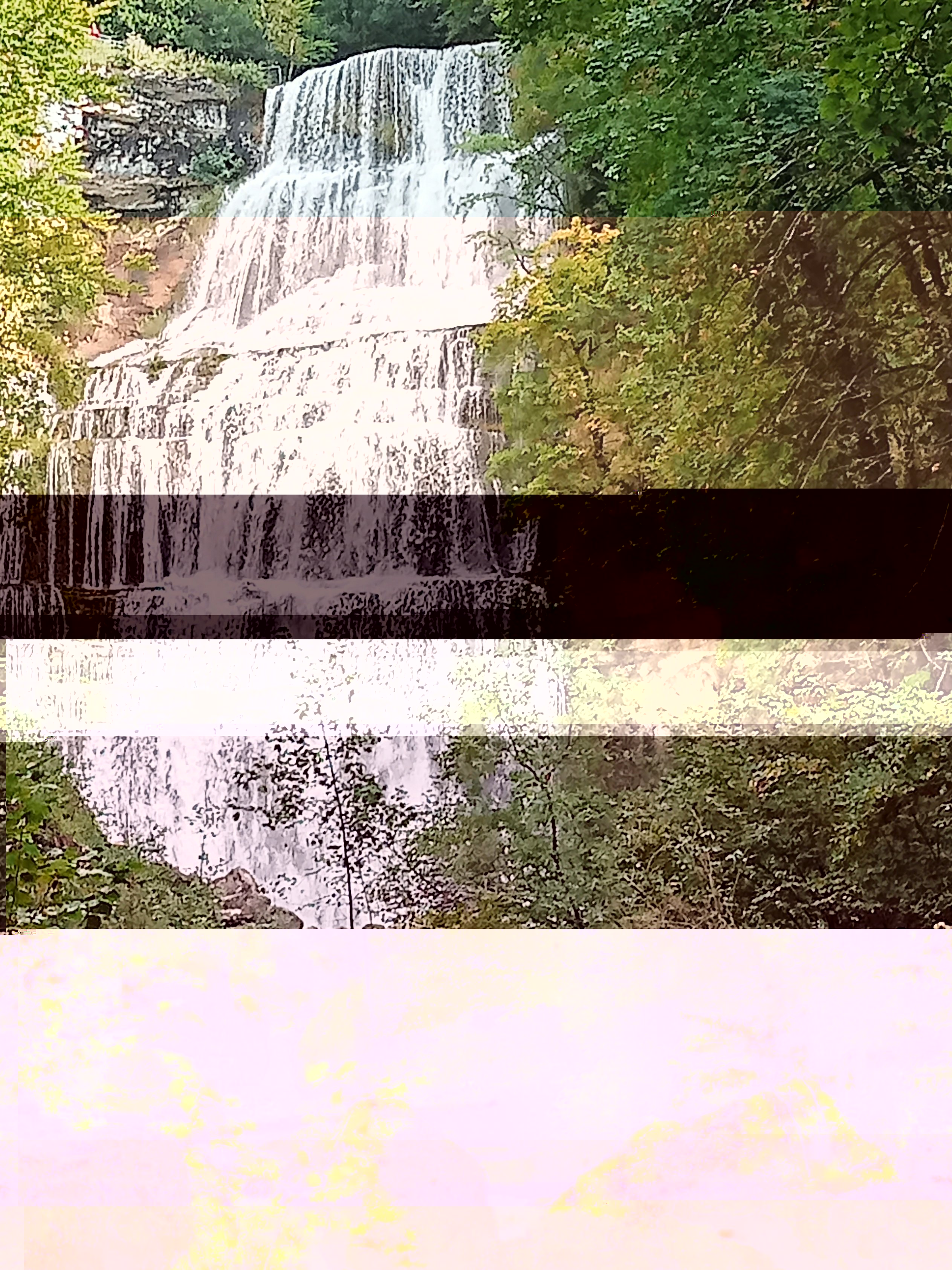 IMG20240924153307.jpg